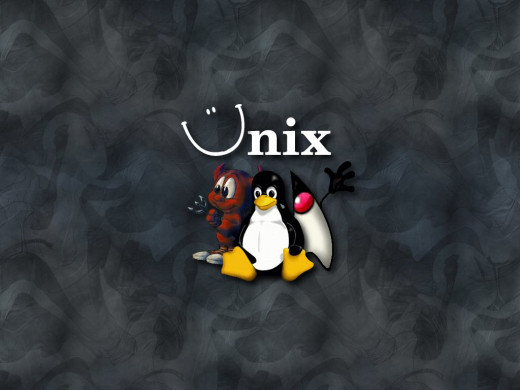 384169 (a): :1024x768